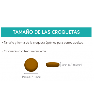 GFG perro adulto Pollo con boniato y hierbas 12kg