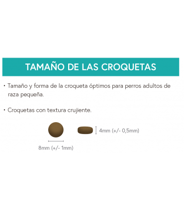 LGF perro adulto raza pequeña salmón con trucha, boniato y espárragos 6kg