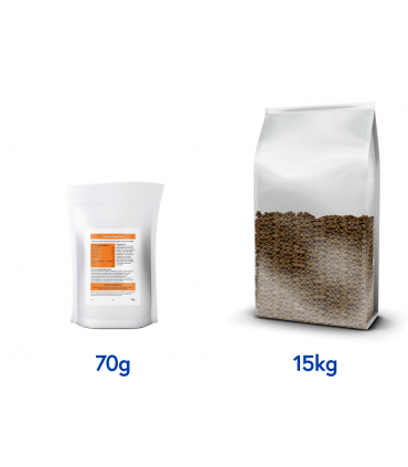 XGD: Snack funcional digestivo.