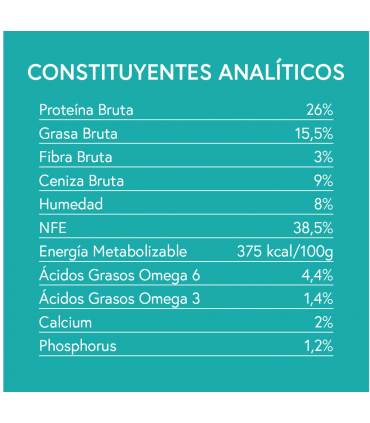 DGF perro adulto raza pequeña pato con boniato y naranja 2kg