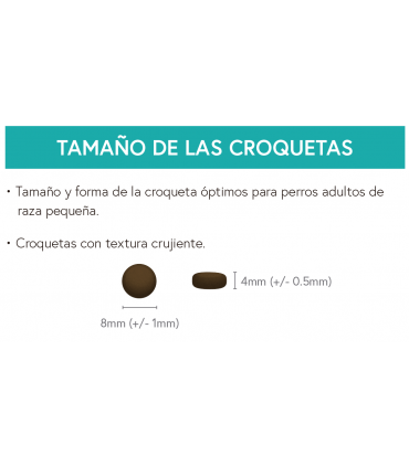 DGF perro adulto raza pequeña pato con boniato y naranja 2kg