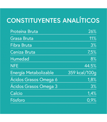 GFI: Gama sin cereales perro adulto salmón con trucha, boniato y espárragos 2kg