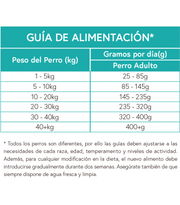 UGF perro adulto Angus beef con boniato y zanahorias 2kg