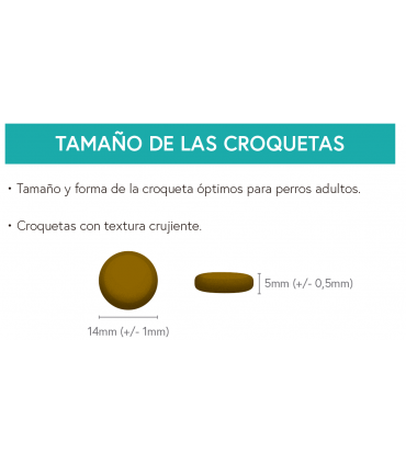 UGF perro adulto Angus beef con boniato y zanahorias 2kg
