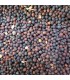 Semilla de nabina roja para alimentación de aves y pájaros domésticos