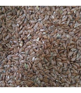 Linaza natural en grano para aves y pájaros ornamentales