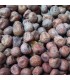 Semillas de guisante rojo a granel para alimentación animal