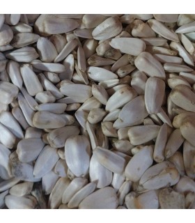 Pipa blanca natural para alimentación de aves - Piensos El Andalúz