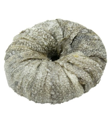 Donuts de Pescado Bubimex