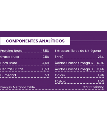 CCS  cat gato adulto esterilizado Pescado Blanco con salmón 5kg